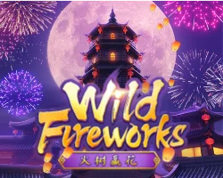 wild fireworks by huaydung100